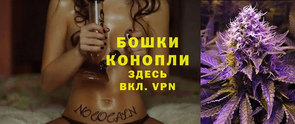 гидропоника Верея