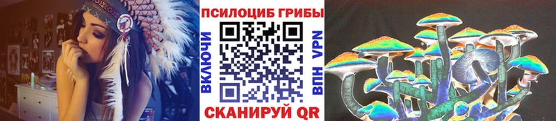 Галлюциногенные грибы MAGIC MUSHROOMS  где найти наркотики  Ковылкино 